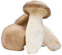 King Oyster (Eringii) Mushroom - 1